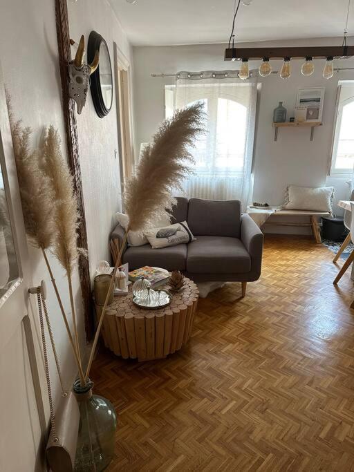 Appartement Carmes, Hypercentre Tuluza Zewnętrze zdjęcie
